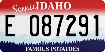 ID license plate E087291