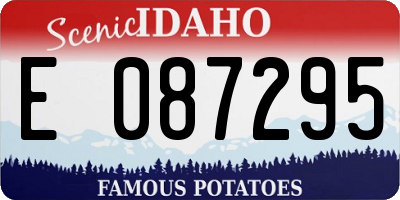 ID license plate E087295