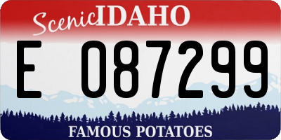 ID license plate E087299