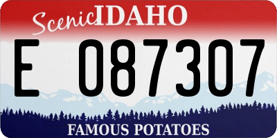 ID license plate E087307