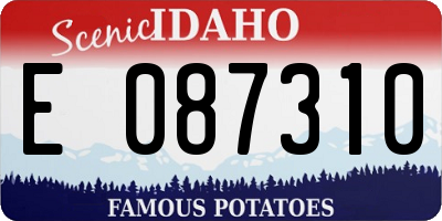 ID license plate E087310