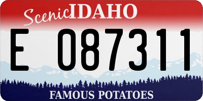 ID license plate E087311