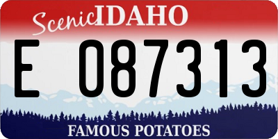 ID license plate E087313