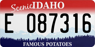 ID license plate E087316