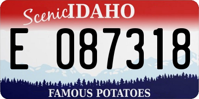 ID license plate E087318