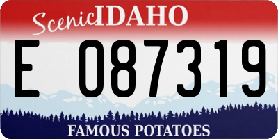 ID license plate E087319