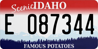 ID license plate E087344