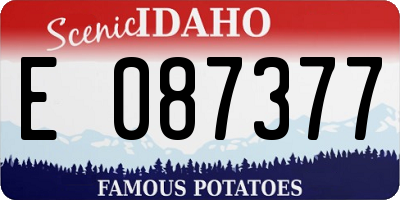 ID license plate E087377