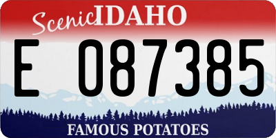ID license plate E087385
