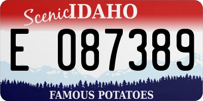 ID license plate E087389