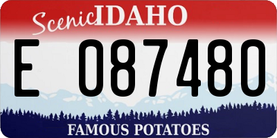 ID license plate E087480