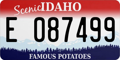 ID license plate E087499