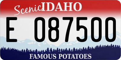 ID license plate E087500