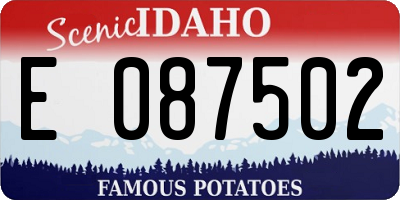 ID license plate E087502