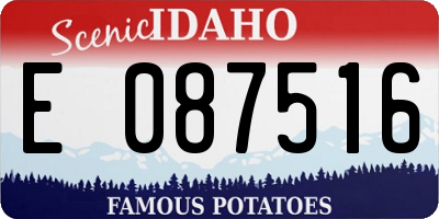 ID license plate E087516