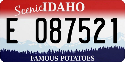 ID license plate E087521