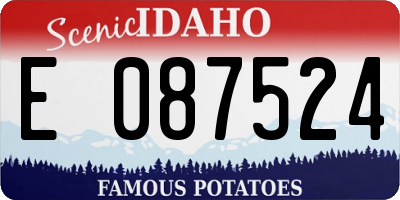 ID license plate E087524
