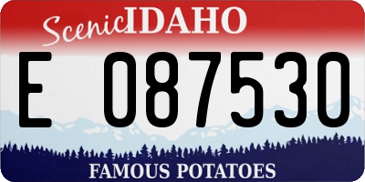 ID license plate E087530