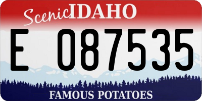 ID license plate E087535