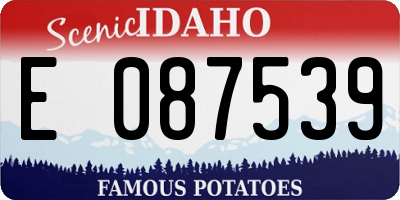 ID license plate E087539
