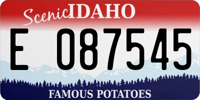 ID license plate E087545