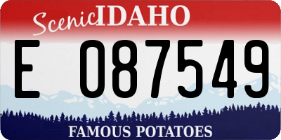 ID license plate E087549