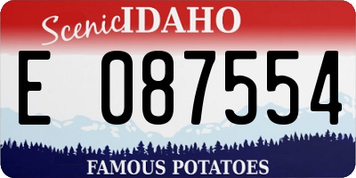 ID license plate E087554
