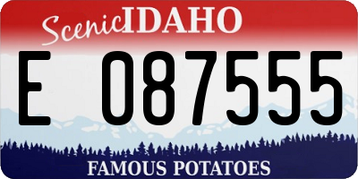 ID license plate E087555
