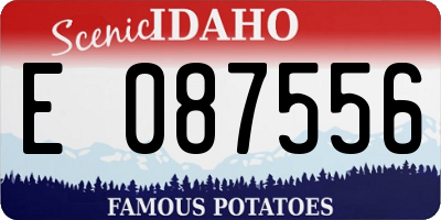 ID license plate E087556