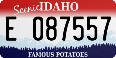 ID license plate E087557