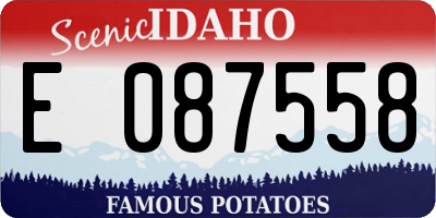 ID license plate E087558