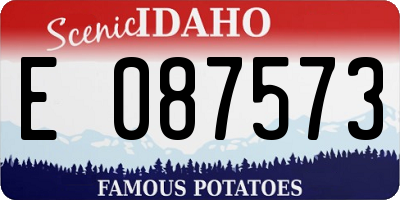 ID license plate E087573