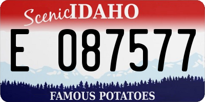 ID license plate E087577