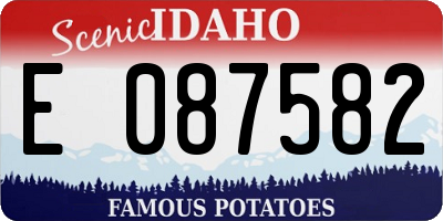 ID license plate E087582