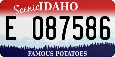 ID license plate E087586