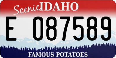 ID license plate E087589