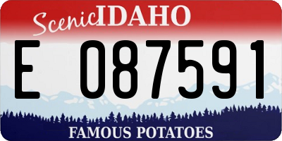 ID license plate E087591