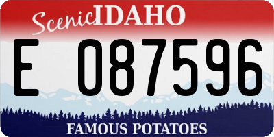 ID license plate E087596