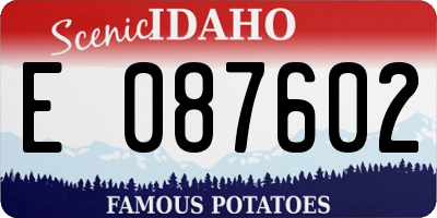 ID license plate E087602