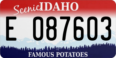 ID license plate E087603