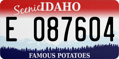 ID license plate E087604
