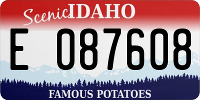 ID license plate E087608