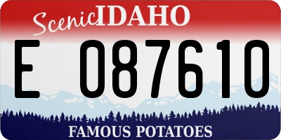 ID license plate E087610