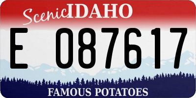 ID license plate E087617