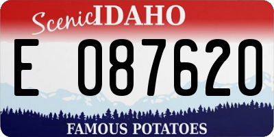 ID license plate E087620