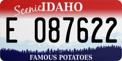 ID license plate E087622