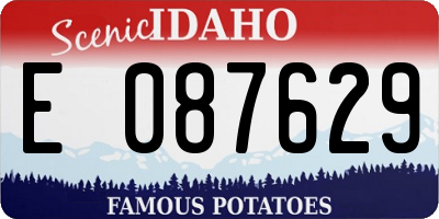 ID license plate E087629
