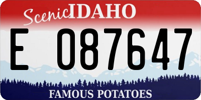 ID license plate E087647