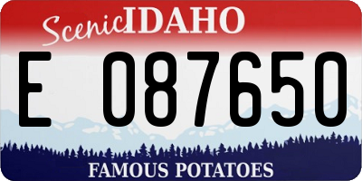 ID license plate E087650