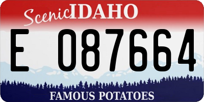 ID license plate E087664